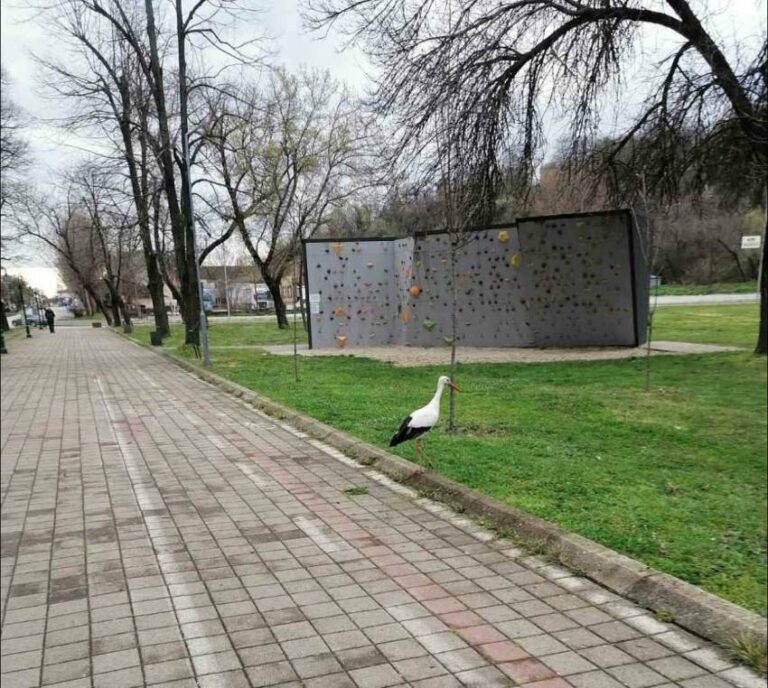 Фото на денот – Битола си има градски штрк