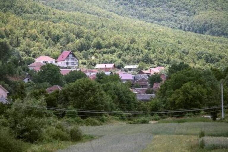 Уапсени четворица мажи од село Обедник за поседување нелегано оружје и муниција